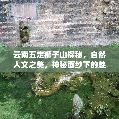 云南五定獅子山探秘，自然人文之美，神秘面紗下的魅力之旅