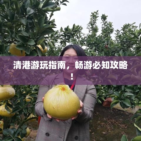 清港游玩指南，暢游必知攻略！