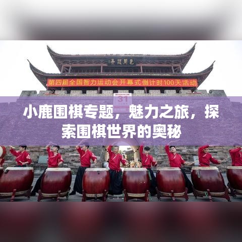 小鹿圍棋專(zhuān)題，魅力之旅，探索圍棋世界的奧秘