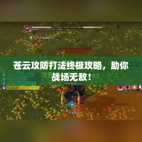 蒼云攻防打法終極攻略，助你戰(zhàn)場(chǎng)無敵！
