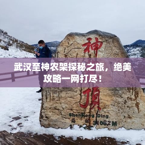 武漢至神農架探秘之旅，絕美攻略一網(wǎng)打盡！