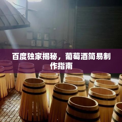 百度獨家揭秘，葡萄酒簡易制作指南