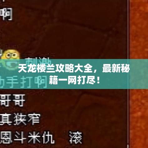 天龍樓蘭攻略大全，最新秘籍一網(wǎng)打盡！