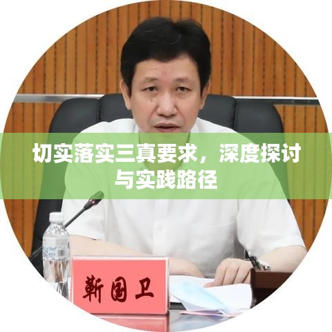 切實落實三真要求，深度探討與實踐路徑