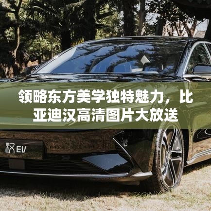 領(lǐng)略東方美學(xué)獨(dú)特魅力，比亞迪漢高清圖片大放送