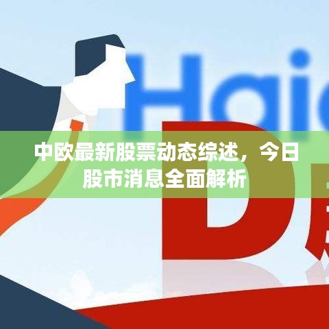 中歐最新股票動態(tài)綜述，今日股市消息全面解析