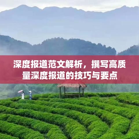 深度報(bào)道范文解析，撰寫高質(zhì)量深度報(bào)道的技巧與要點(diǎn)