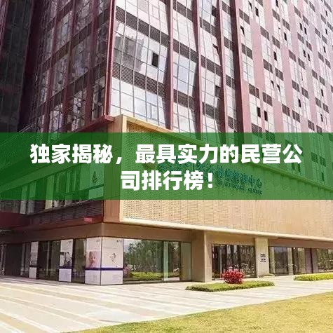 獨(dú)家揭秘，最具實(shí)力的民營(yíng)公司排行榜！