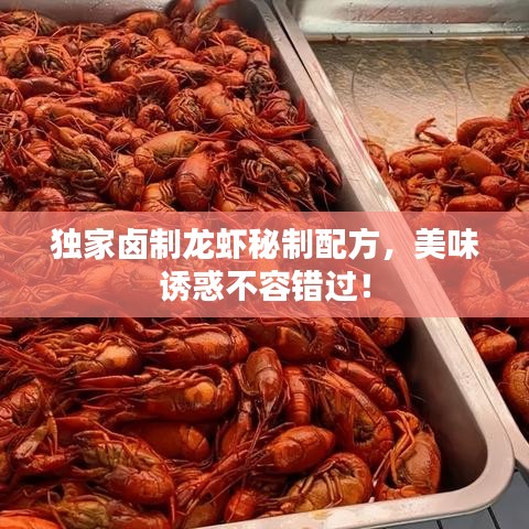獨(dú)家鹵制龍蝦秘制配方，美味誘惑不容錯(cuò)過(guò)！