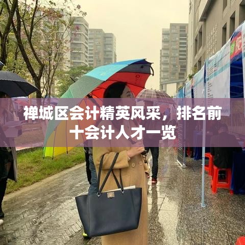 禪城區(qū)會(huì)計(jì)精英風(fēng)采，排名前十會(huì)計(jì)人才一覽