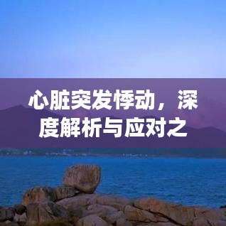 心臟突發(fā)悸動(dòng)，深度解析與應(yīng)對(duì)之道