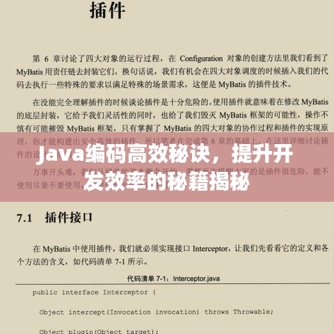 Java編碼高效秘訣，提升開發(fā)效率的秘籍揭秘
