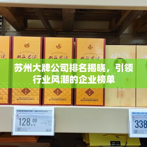 蘇州大牌公司排名揭曉，引領(lǐng)行業(yè)風(fēng)潮的企業(yè)榜單