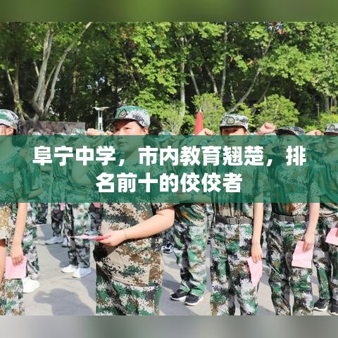 阜寧中學(xué)，市內(nèi)教育翹楚，排名前十的佼佼者