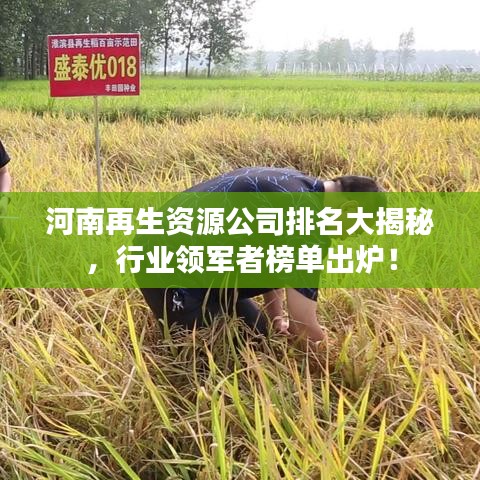河南再生資源公司排名大揭秘，行業(yè)領(lǐng)軍者榜單出爐！