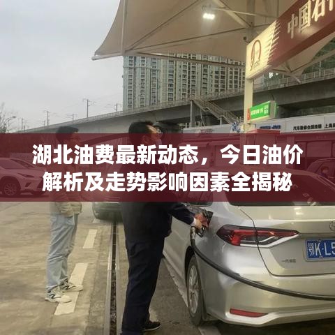 湖北油費最新動態(tài)，今日油價解析及走勢影響因素全揭秘