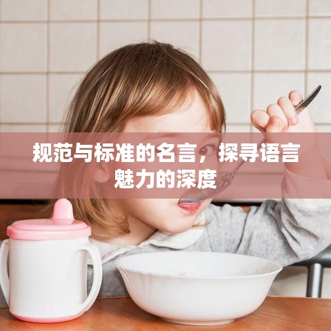 規(guī)范與標準的名言，探尋語言魅力的深度