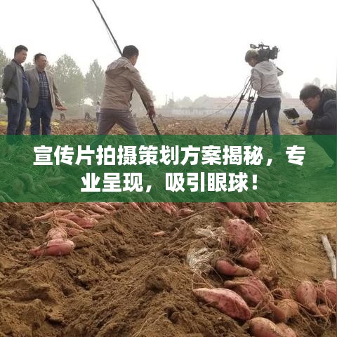 宣傳片拍攝策劃方案揭秘，專業(yè)呈現(xiàn)，吸引眼球！