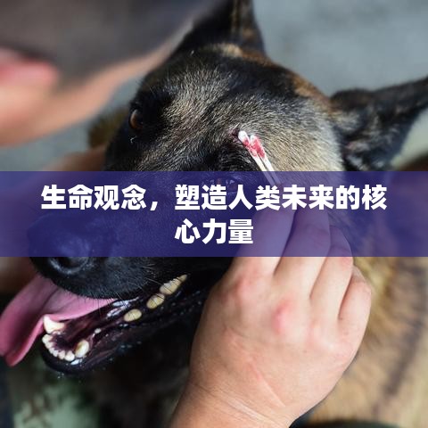 生命觀念，塑造人類(lèi)未來(lái)的核心力量