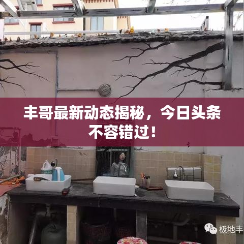 豐哥最新動(dòng)態(tài)揭秘，今日頭條不容錯(cuò)過(guò)！