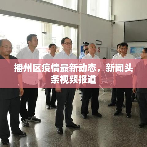播州區(qū)疫情最新動態(tài)，新聞頭條視頻報(bào)道