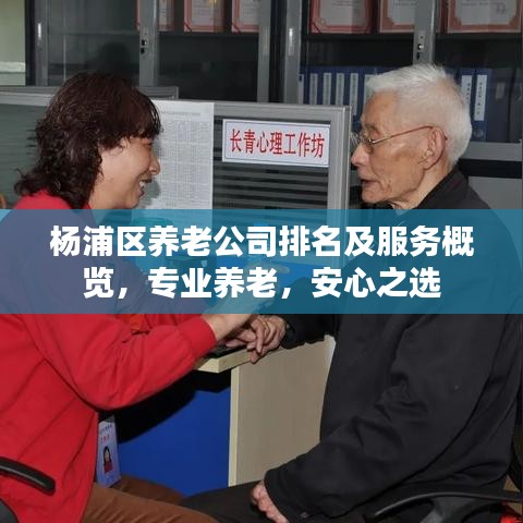楊浦區(qū)養(yǎng)老公司排名及服務(wù)概覽，專業(yè)養(yǎng)老，安心之選