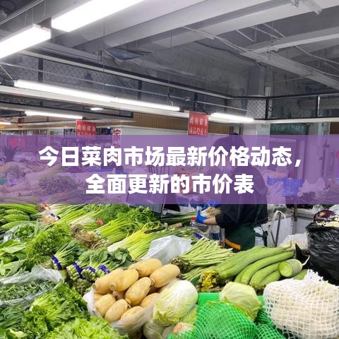 今日菜肉市場最新價格動態(tài)，全面更新的市價表
