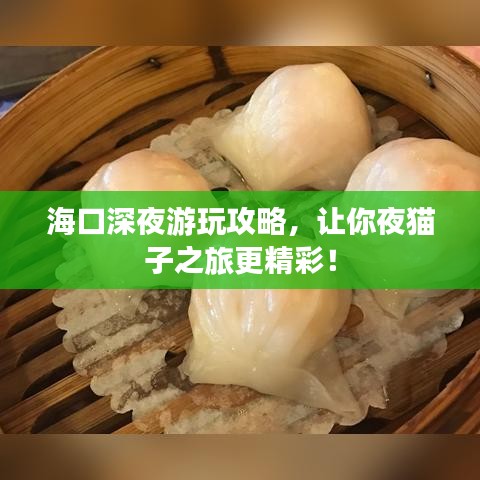 ?？谏钜褂瓮婀ヂ?，讓你夜貓子之旅更精彩！