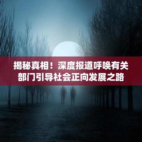 揭秘真相！深度報(bào)道呼喚有關(guān)部門引導(dǎo)社會(huì)正向發(fā)展之路