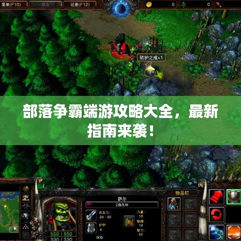 部落爭(zhēng)霸端游攻略大全，最新指南來(lái)襲！