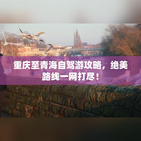 重慶至青海自駕游攻略，絕美路線一網(wǎng)打盡！