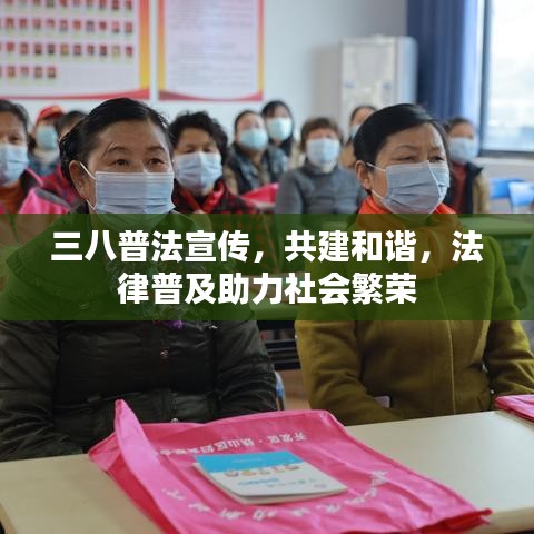 三八普法宣傳，共建和諧，法律普及助力社會(huì)繁榮