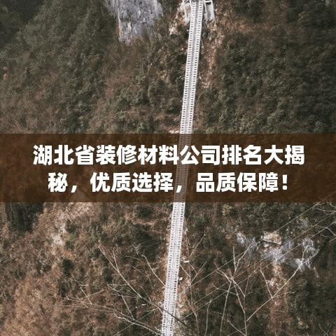 湖北省裝修材料公司排名大揭秘，優(yōu)質(zhì)選擇，品質(zhì)保障！