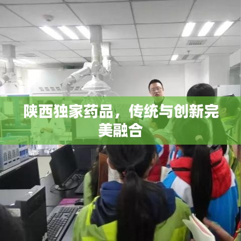 陜西獨家藥品，傳統(tǒng)與創(chuàng)新完美融合