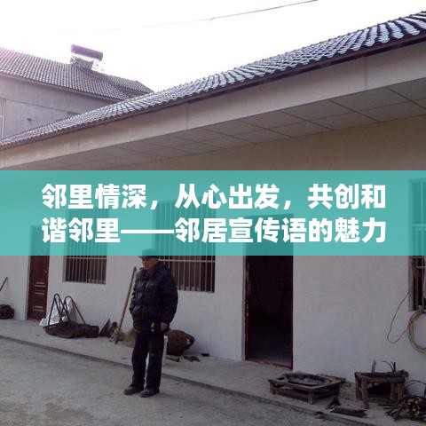 鄰里情深，從心出發(fā)，共創(chuàng)和諧鄰里——鄰居宣傳語(yǔ)的魅力