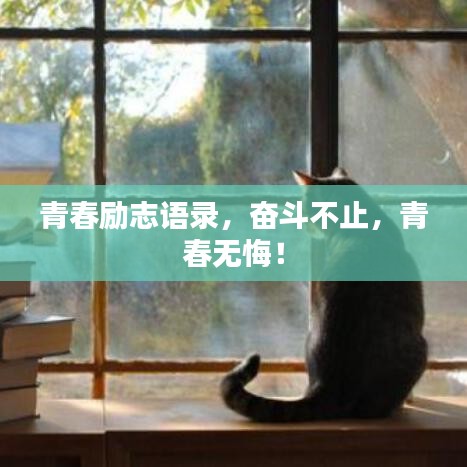 青春勵志語錄，奮斗不止，青春無悔！