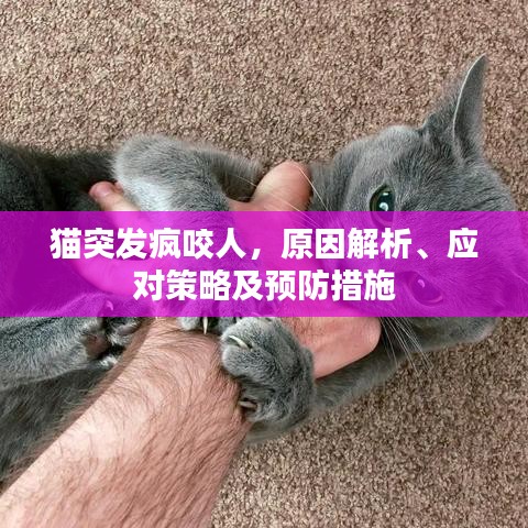 就地取材 第2頁(yè)