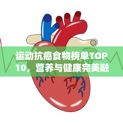 運動抗癌食物榜單TOP10，營養(yǎng)與健康完美融合，助你遠離癌癥威脅