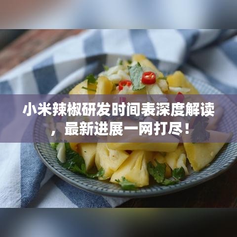 小米辣椒研發(fā)時間表深度解讀，最新進展一網(wǎng)打盡！