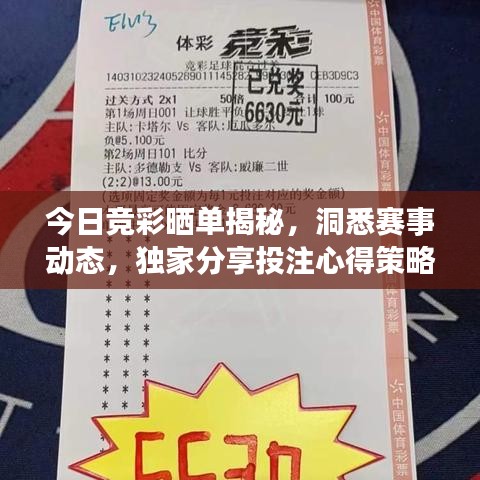 今日競(jìng)彩曬單揭秘，洞悉賽事動(dòng)態(tài)，獨(dú)家分享投注心得策略