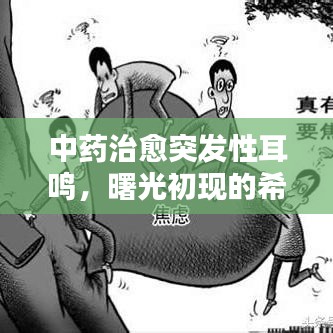 中藥治愈突發(fā)性耳鳴，曙光初現(xiàn)的希望之路