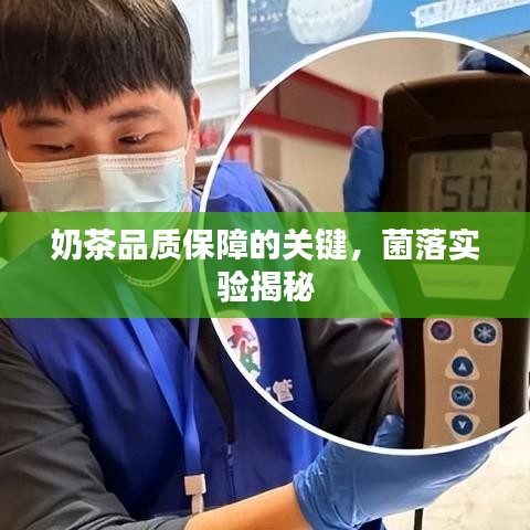 奶茶品質(zhì)保障的關(guān)鍵，菌落實(shí)驗(yàn)揭秘