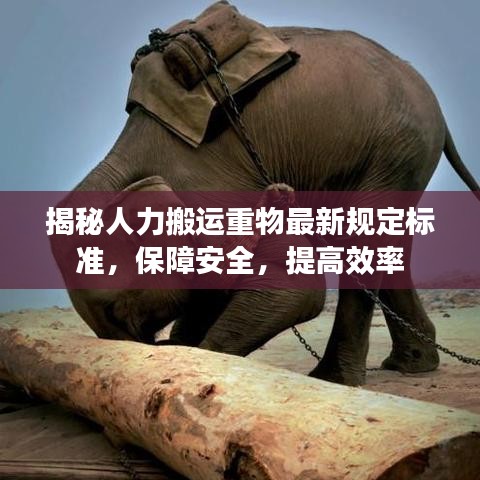 揭秘人力搬運重物最新規(guī)定標(biāo)準(zhǔn)，保障安全，提高效率