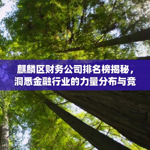 麒麟?yún)^(qū)財(cái)務(wù)公司排名榜揭秘，洞悉金融行業(yè)的力量分布與競(jìng)爭(zhēng)格局