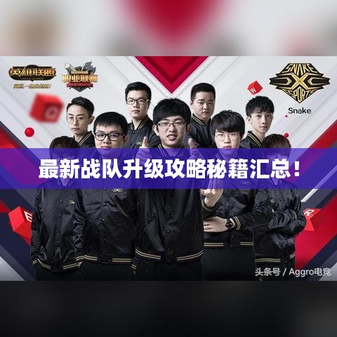 最新戰(zhàn)隊升級攻略秘籍匯總！