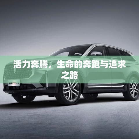 活力奔騰，生命的奔跑與追求之路