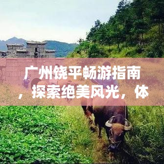 廣州饒平暢游指南，探索絕美風(fēng)光，體驗(yàn)獨(dú)特風(fēng)情！