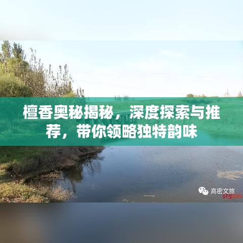 檀香奧秘揭秘，深度探索與推薦，帶你領略獨特韻味