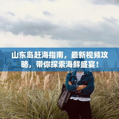 山東島趕海指南，最新視頻攻略，帶你探索海鮮盛宴！