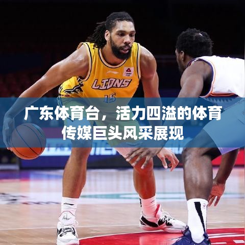 廣東體育臺，活力四溢的體育傳媒巨頭風采展現(xiàn)